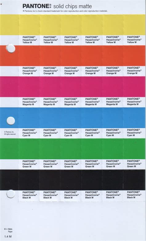 buy pantone solid chips matte replacement pages pantone replacement pages