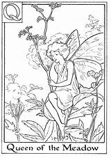 Fairies Meadow Barker Cicely Fee Coloriage Adults Kleurplaat Colorier Imprimer sketch template