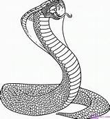 Coloring Cobra Pages King Snake Poisonous Related sketch template