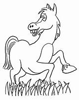 Coloring Heste Tegninger Pferd Hest Sjove Disegni Cavalli Colorare Lustiges Ausmalbild Ausdrucken Tegnet Vilde sketch template
