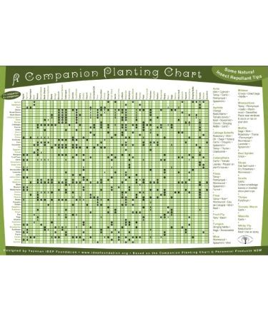 companion planting chart    printable