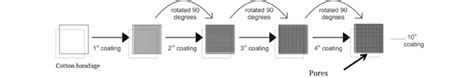 schematic representation   coating process  scientific