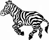 Zebra Coloring Pages Zebras Animals Gif Playful sketch template