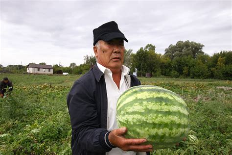 how a russian korean started a watermelon farm in the