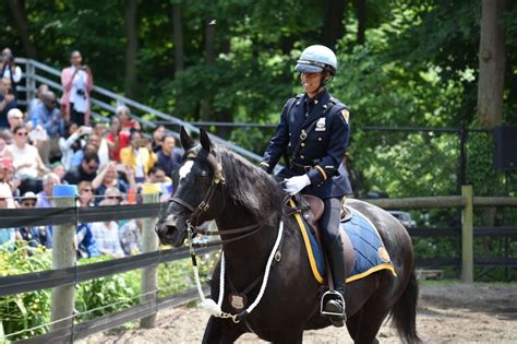 officers  inducted   nypd mounted unit nypd news
