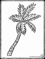 Palme Kinderbilder Palmen Ausmalbilder sketch template