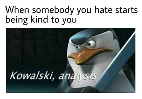 the best kowalski analysis memes memedroid
