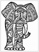 Coloring Elephant Pages Intricate Getcolorings sketch template