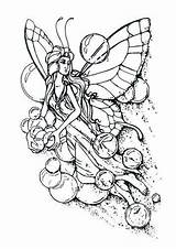 Feeen Elfen Fairies Ausmalbilder Feeën Fee Malvorlage Stimmen Volwassenen Zo sketch template