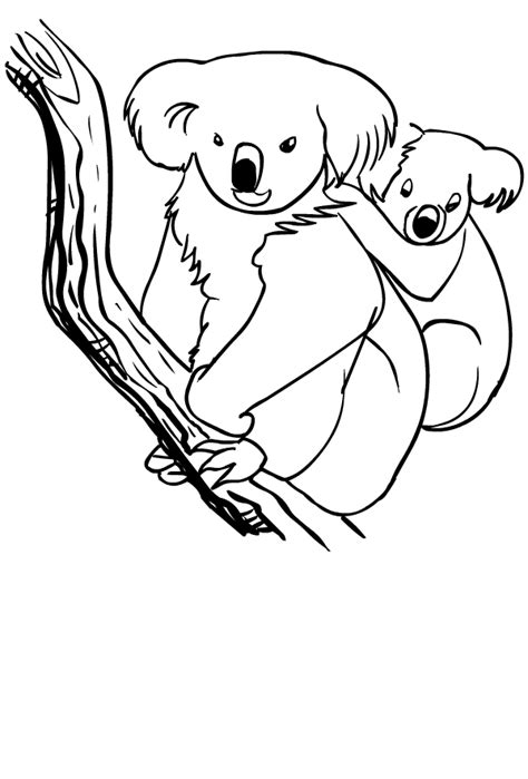drawing  koala coloring page