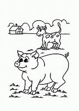 Coloring Pages Ffa Popular sketch template