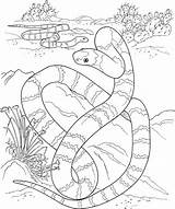 Coloring Pages Desert Snake Printable Tiger Long Big Animals Snakes Print Desierto Kids Color Sasuke El Serpiente Drawing Drawings Reptiles sketch template
