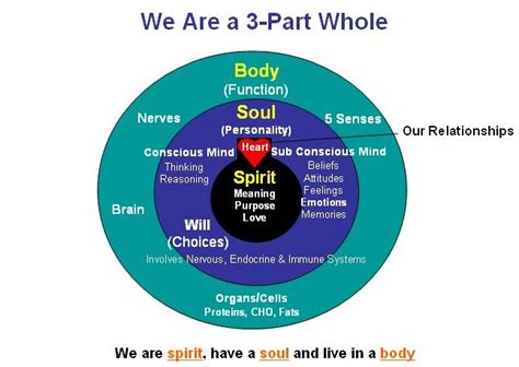 3 Part Whole Spirit Soul Mind Body Soul Mind Body