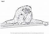 Gibbon Step Drawing Draw Tutorials Drawingtutorials101 Primates sketch template
