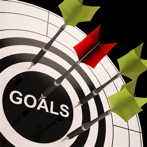 define goals  objectives  insights