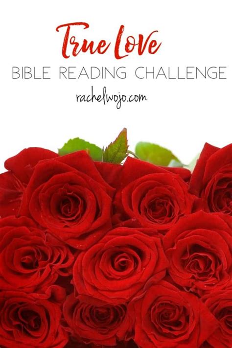 true love bible reading plan  journal challenge rachelwojocom