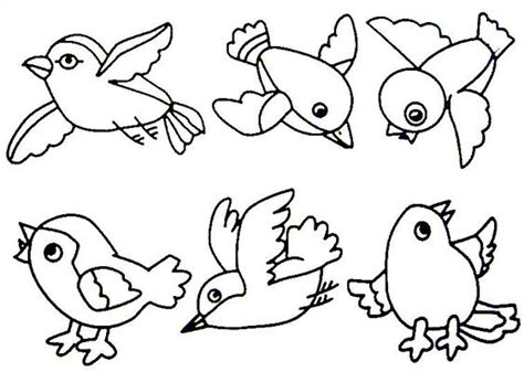 birds preschool activities  coloring pages  pinterest