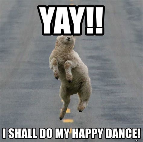 happy dance meme discover  interesting animal cat crazy cute memes httpswwwidlememe