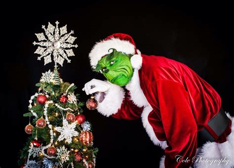 grinch session grinch photoshoot grinch grinch holiday by cole