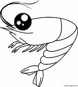 Coloringall Invertebrates Printables Seafood Amano Shrimps sketch template