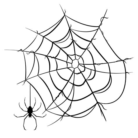 spider web spider drawing web drawing spider web drawing png