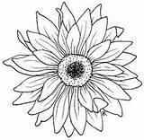 Coloring Pages Flower Beccysplace sketch template