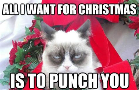 christmas it s the most terrible time of the year angry cat