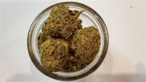 Thc Guide — Seeds And Cannabis Anbau Die Besten Marihuana