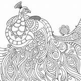 Mindfulness Peacock Mindful Coloriages Paon Coloring4free Bestcoloringpagesforkids Interactive Therapy Meilleurs Pavo Erin Collegesportsmatchups sketch template