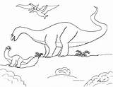 Apatosaurus Children Small Young Robin Coloring Pages Great Sauropods Dinosaurs sketch template