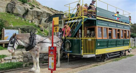 victor harbor horse drawn tram   frequent  reliable    adelaide metro buses
