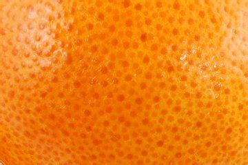 orange images pictures royalty  freeimages