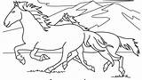 Coloring Horse Pages Wild Cowboy Getcolorings Printable sketch template
