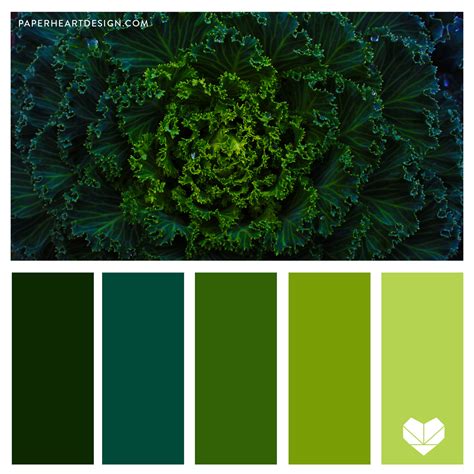 color palette gorgeous green paper heart design