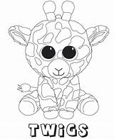Coloring Beanie Pages Boo Baby Twigs Printable Fox Sheets Getdrawings Getcolorings sketch template