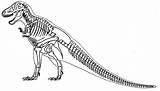 Skeleton Esqueleto Coloring Tyrannosaurus Dinosaur Dinosaurio Tirano Saurio Dinossauro Skeletons sketch template