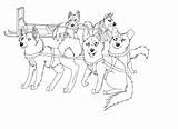Sled Dog Team Dogs Coloring Drawing Race Iditarod Lineart Cartoon Pages Sledding Teams Drawings Template Google Deviantart Search Sketch Printable sketch template