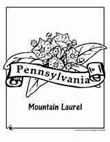 Pennsylvania Coloring Pages Designlooter Flower State Jr Classroom sketch template