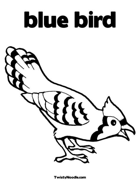 bird coloring sheets  coloring page coloring home