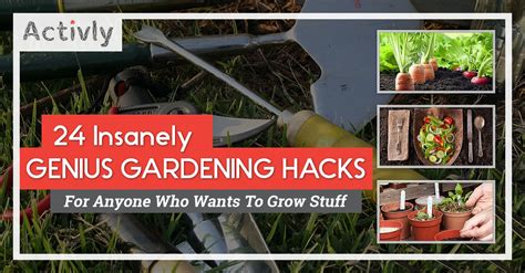 24 insanely genius gardening hacks for anyone who wants to grow stuff