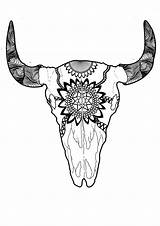 Skull Buffalo Doodle Drawing Longhorn Drawings Deviantart Abstract Getdrawings sketch template