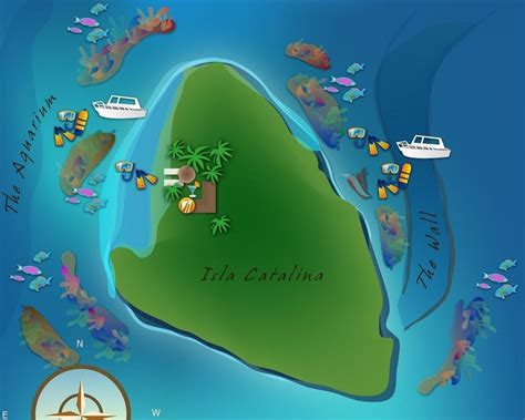 Catalina Island Dominicana Cruise Port Schedule