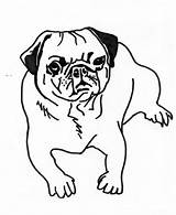 Pug Coloring Pages Dog Printable Cute Drawing Sheets Puppy Outline Color Pugs Getcolorings Getdrawings Colouring Clipartmag Colorings Print sketch template