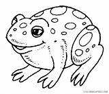 Toad Coloring4free sketch template