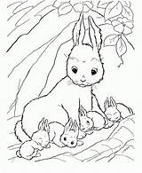 Bunny Coloring Rabbit Pages Baby Bunnies Drawing Cute Color Kids Colouring Printable Print Clipart Lapin Jessica Draw Easter Rabbits Colorier sketch template