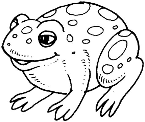 cute frog coloring page super coloring