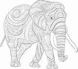 Elephant Coloring Pages Adult Printable Indian Adults Getcolorings Getdrawings Color India Colorings sketch template