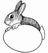 Rabbit Pasqua Animaux Bunnies Ferme Rabbits Lapin Coloriage Coloriages Colorare Ricorrenze Disegnidacolorareperadulti sketch template