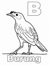 Huruf Mewarnai Belajar Burung Gambar Abjad sketch template