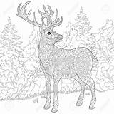 Stag Coloring Designlooter Antistress Stylized Deer Reindeer Sketch Cartoon Adult Christmas Book 82kb 1300px 1300 sketch template